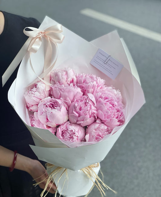 Peony Dream 芍药梦