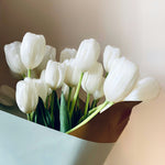 Tulip 郁金香