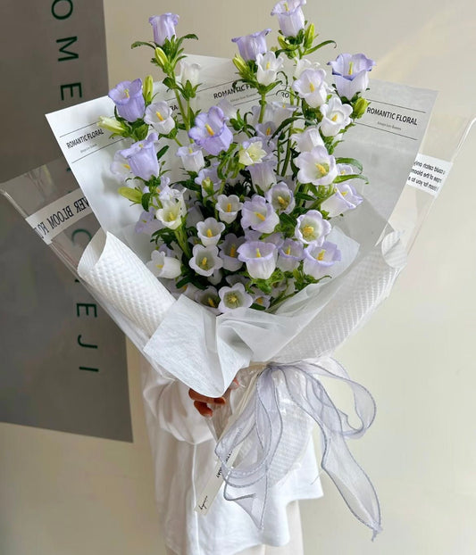 Bellflower Waltz 铃兰轻舞