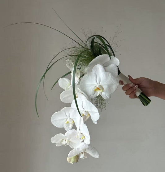 A hand holding a cascading bouquet of white orchids with long green trailing stems against a plain light beige wall.