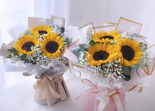 Golden Fields 金黄田野