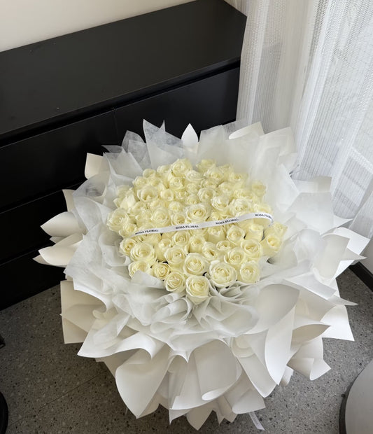 White Embrace 白色拥抱